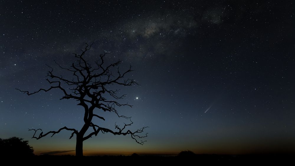 Photograph by Esteban Argerich