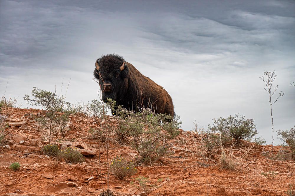 Photograph by Анатолий Костерев