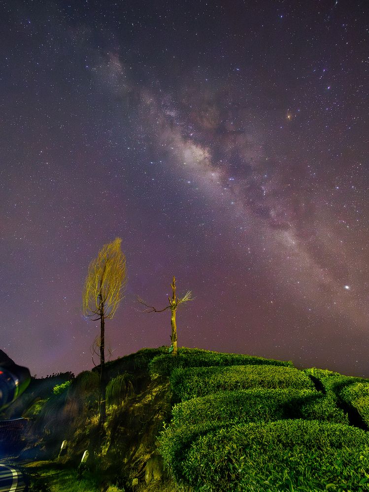 Photograph by Lugyanti Sukrisman