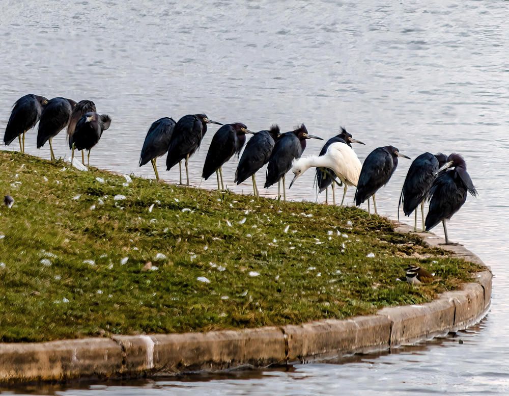 Photograph by Анатолий Костерев