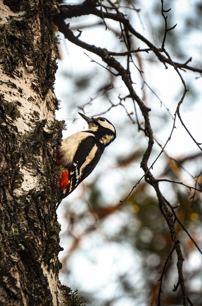 Photograph by Александр Дурасов