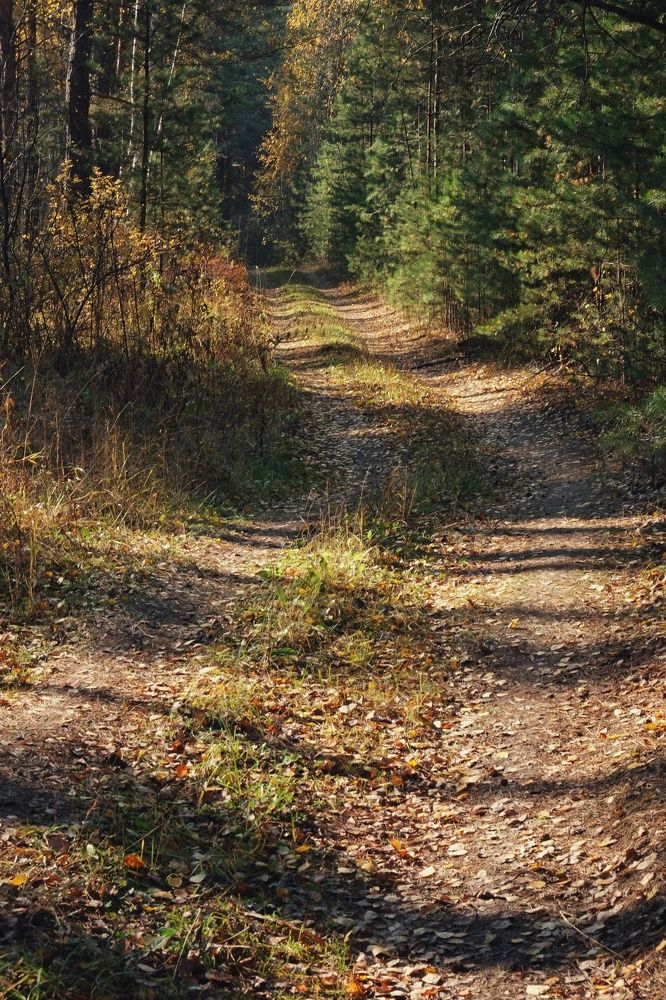 Photograph by Алина Эбель