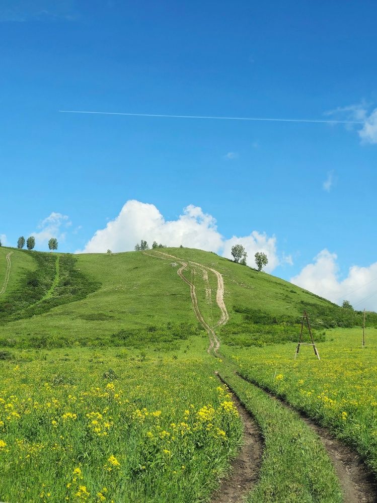 Photograph by Алина Эбель