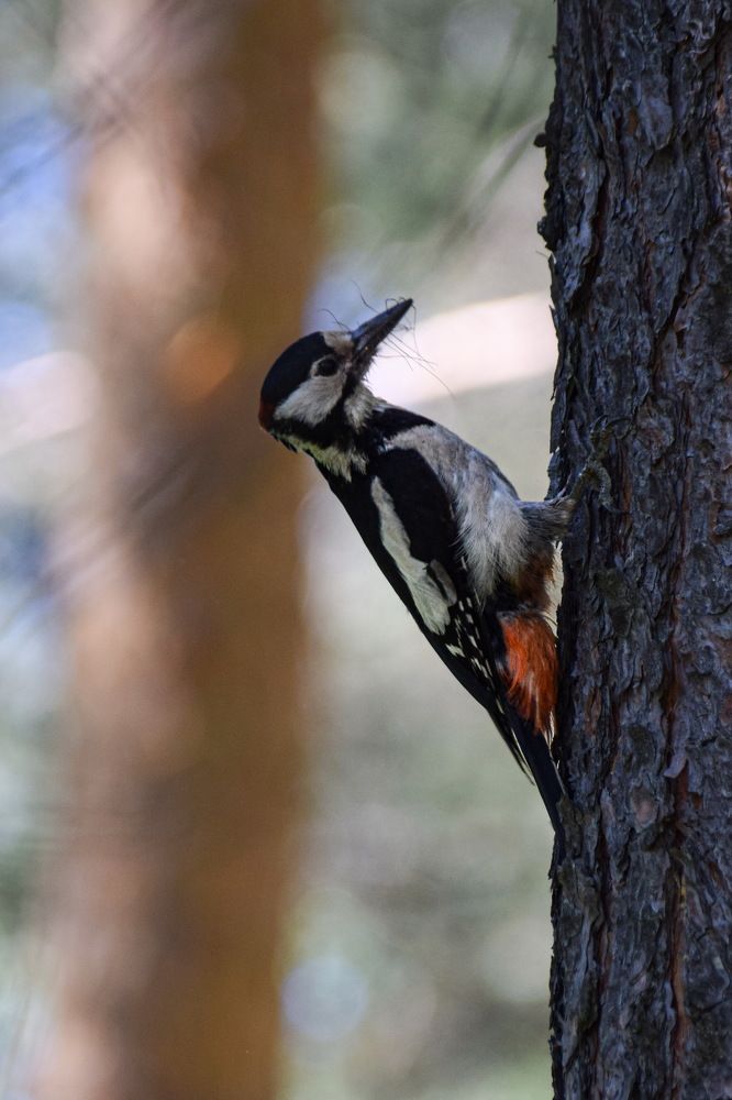 Photograph by Александр Дурасов