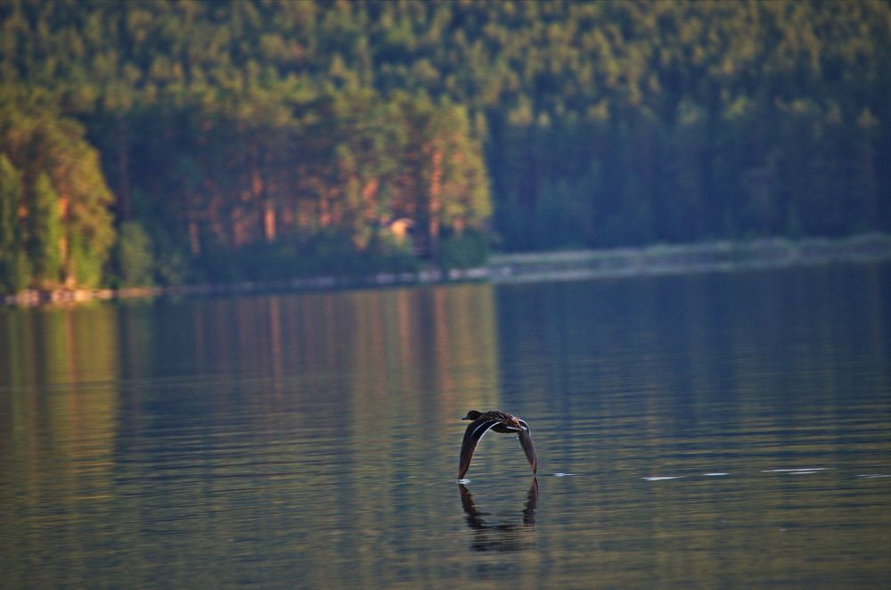 Photograph by Александр Дурасов