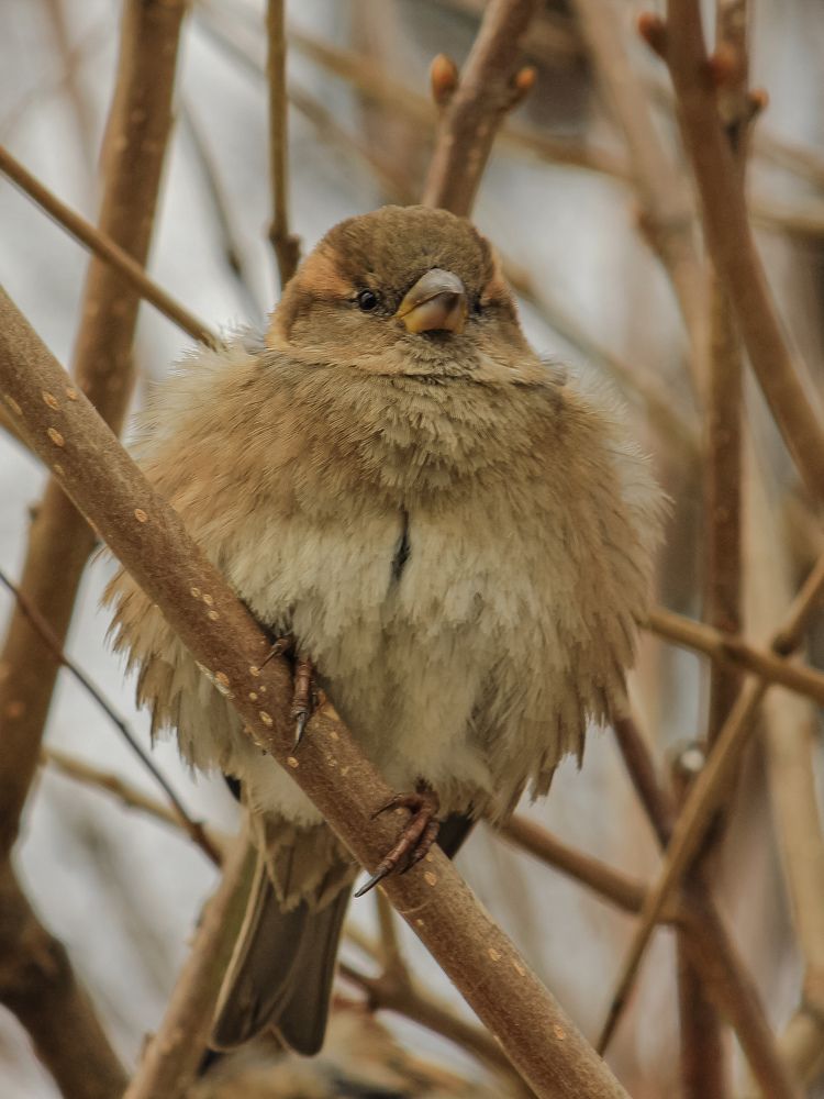 Photograph by Юркин Егор