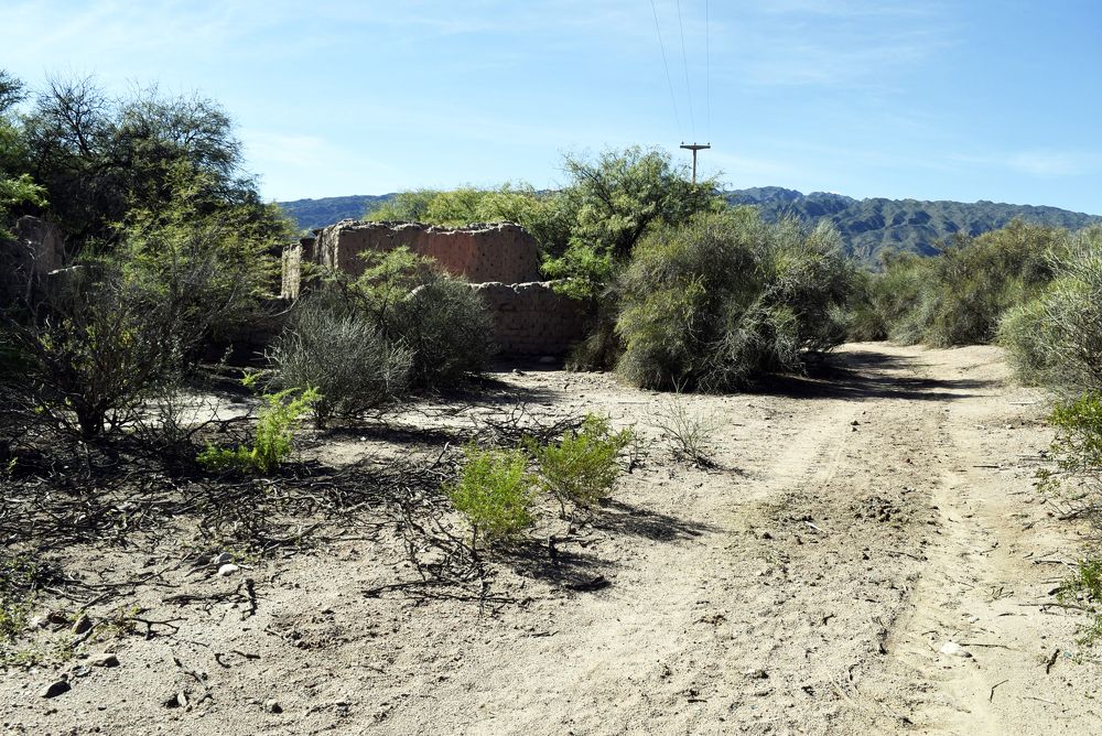 Фотография автора MIGUEL OMAR BARBERIS