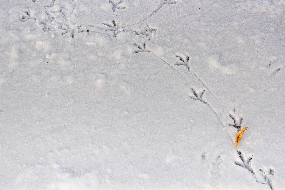 Фотография автора Екатерина Першина