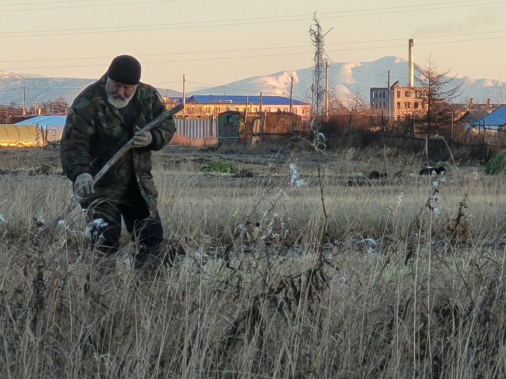 Photograph by Людмила Казакова