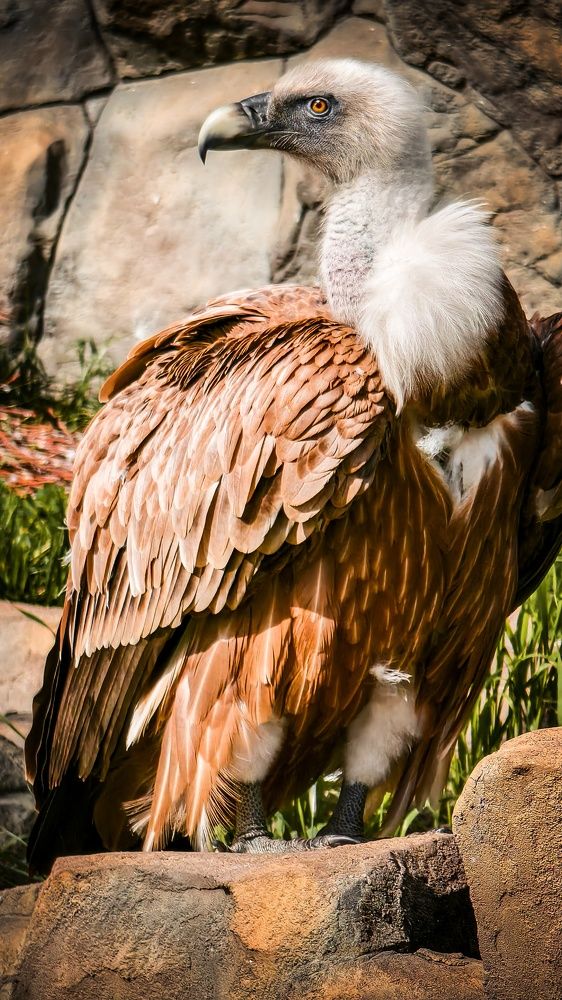 Photograph by Ольга Казакова