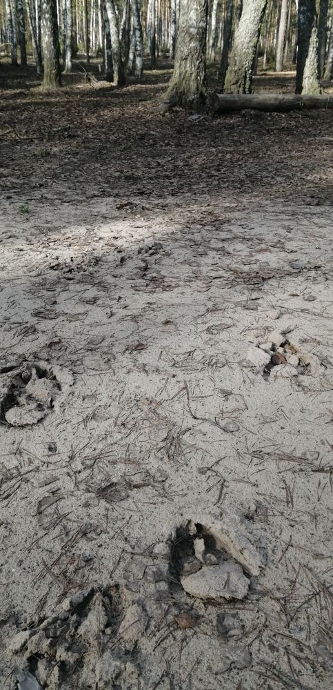 Photograph by Дарья Улюсова