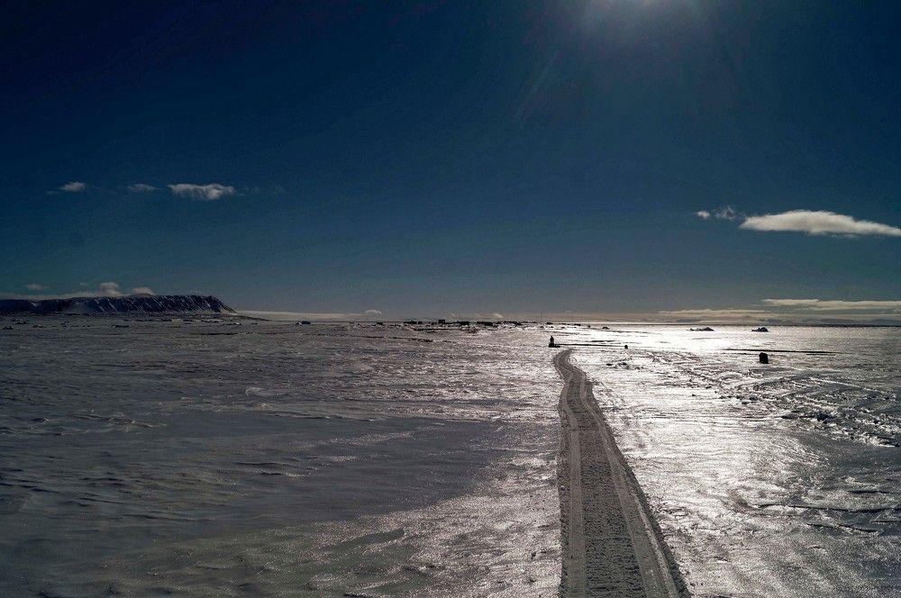 Photograph by Алексей Логинов