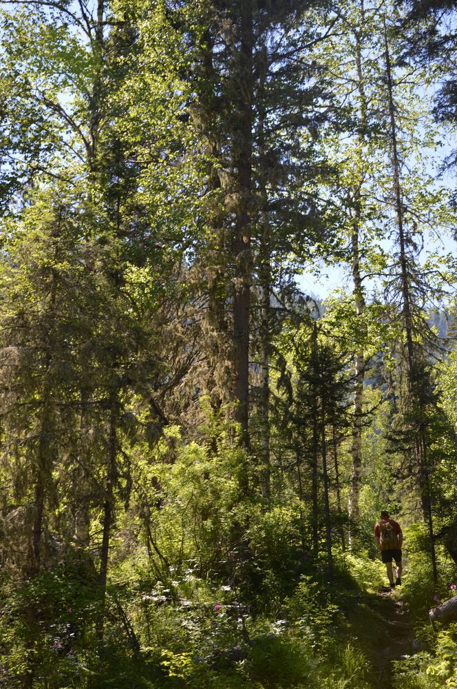 Photograph by Татьяна Ненюхина