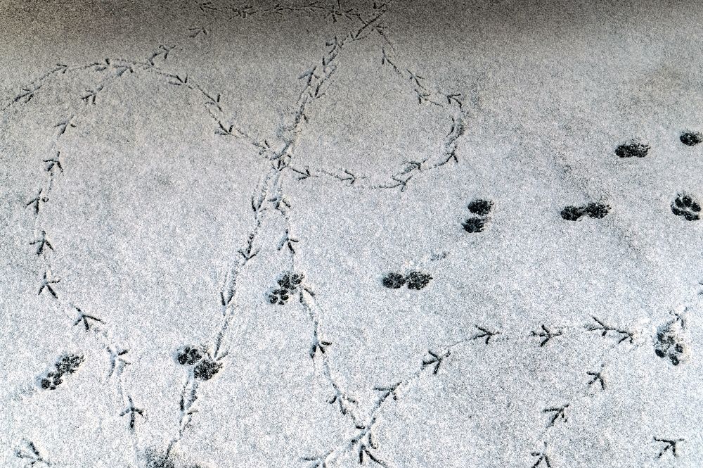 Photograph by Валерий Клейменов