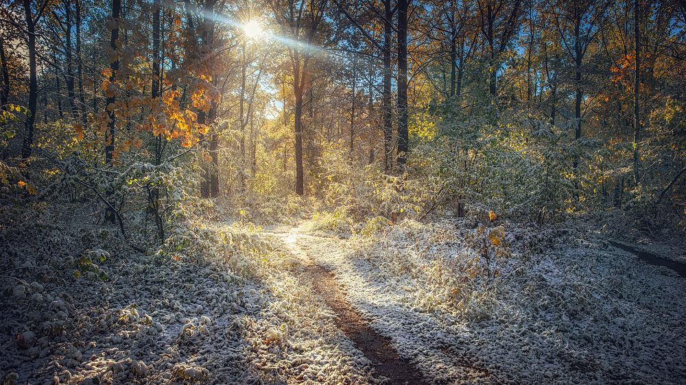 Фотография автора Алексей Бордуков