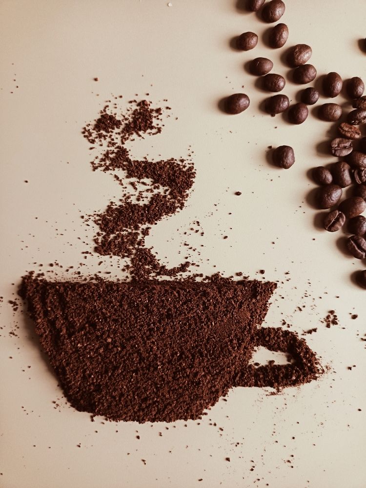 Фотография автора Татьяна Шахова