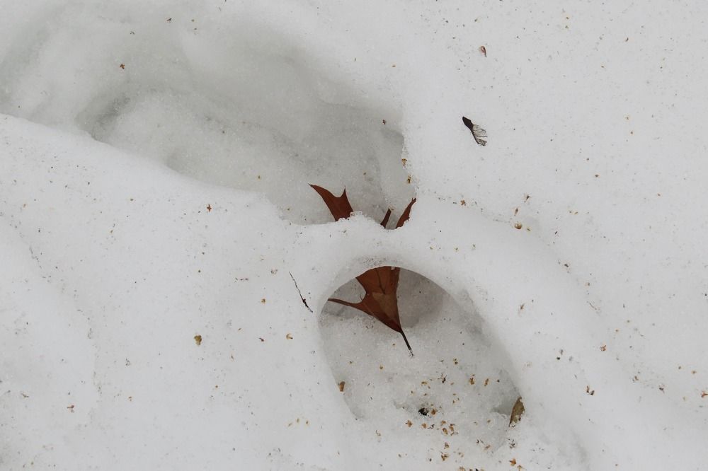 Photograph by Елена Казарина