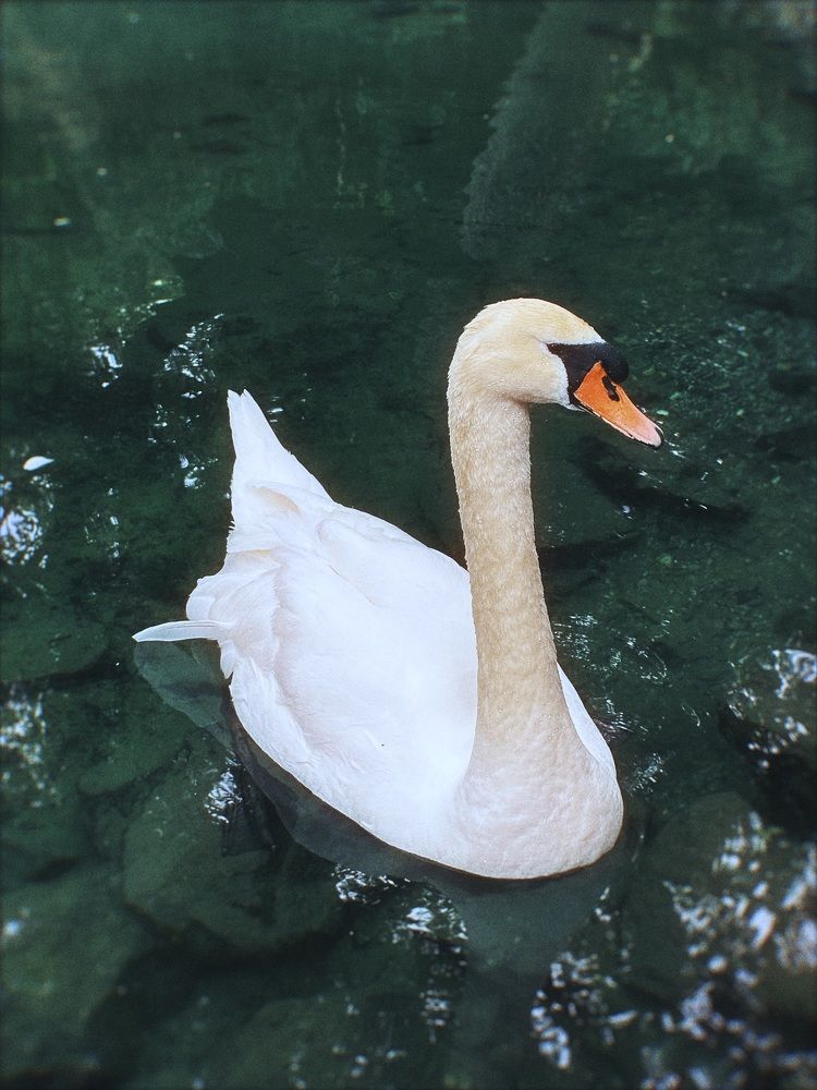 Photograph by Татьяна Казанкова