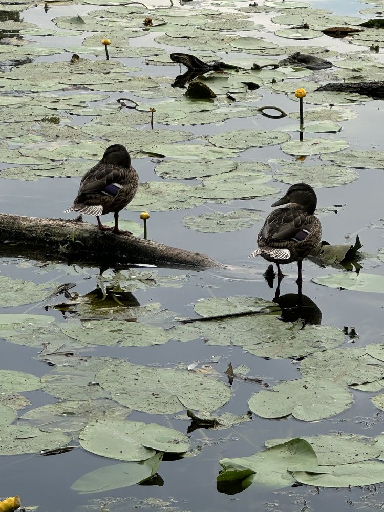 Photograph by Татьяна Казанкова