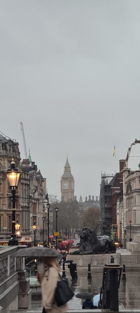 Photo #11255600