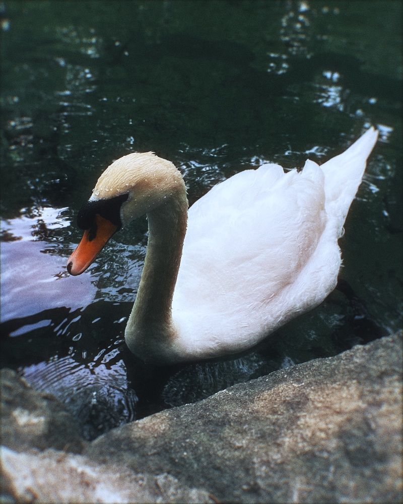 Photograph by Татьяна Казанкова