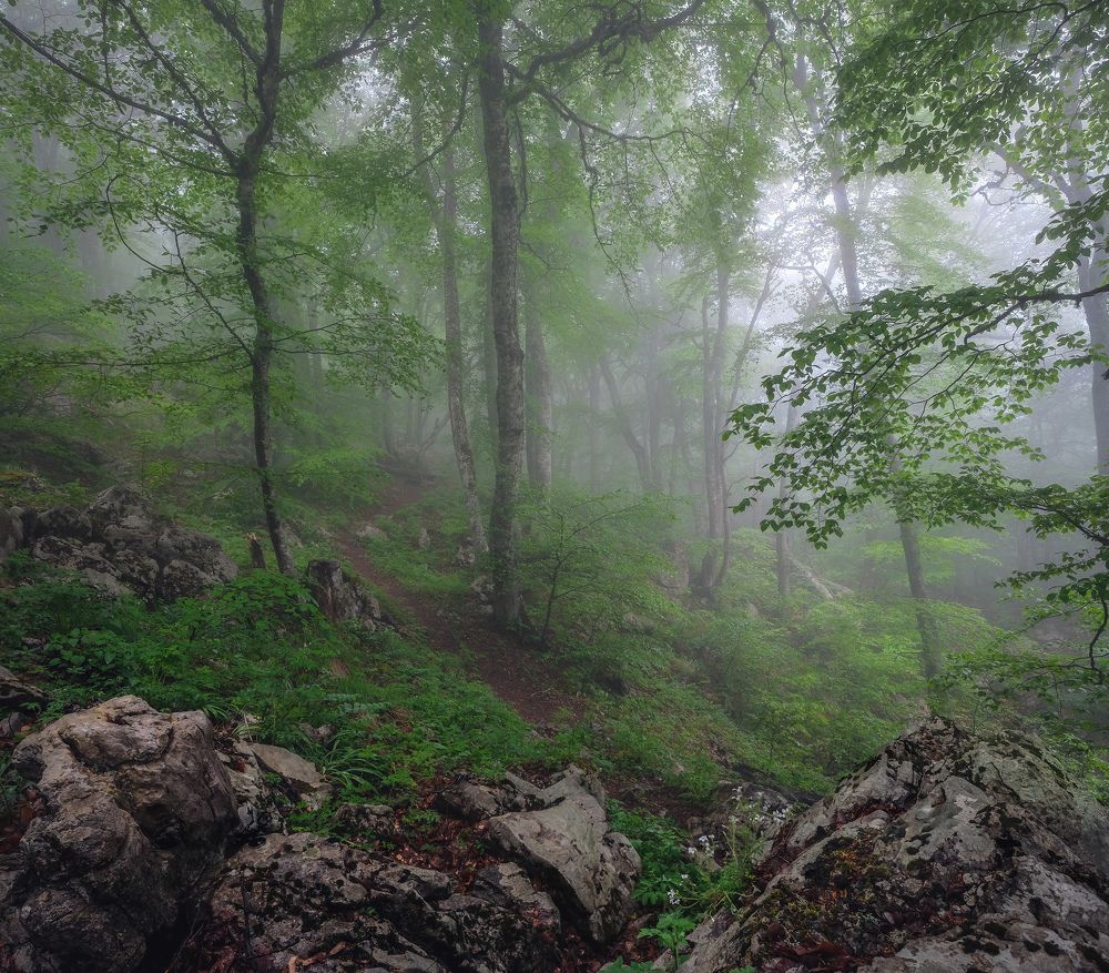 Фотография автора Алексей Бордуков