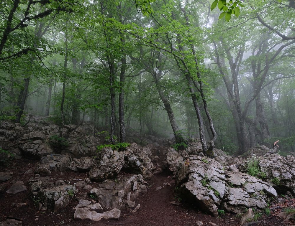 Фотография автора Алексей Бордуков