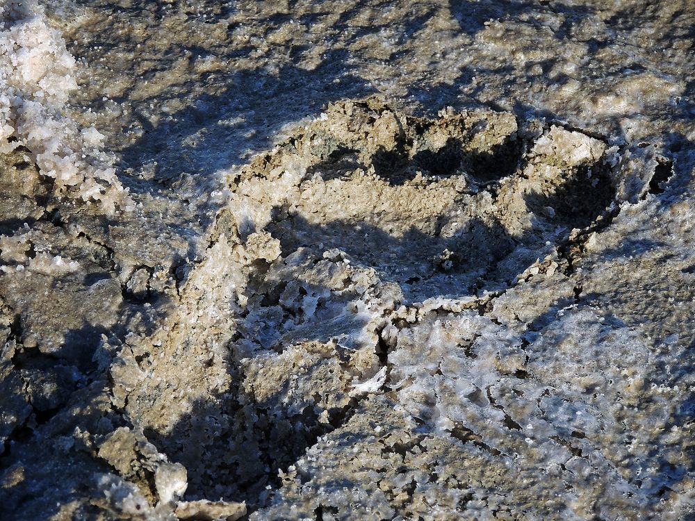 Photograph by Савоцкий Роман