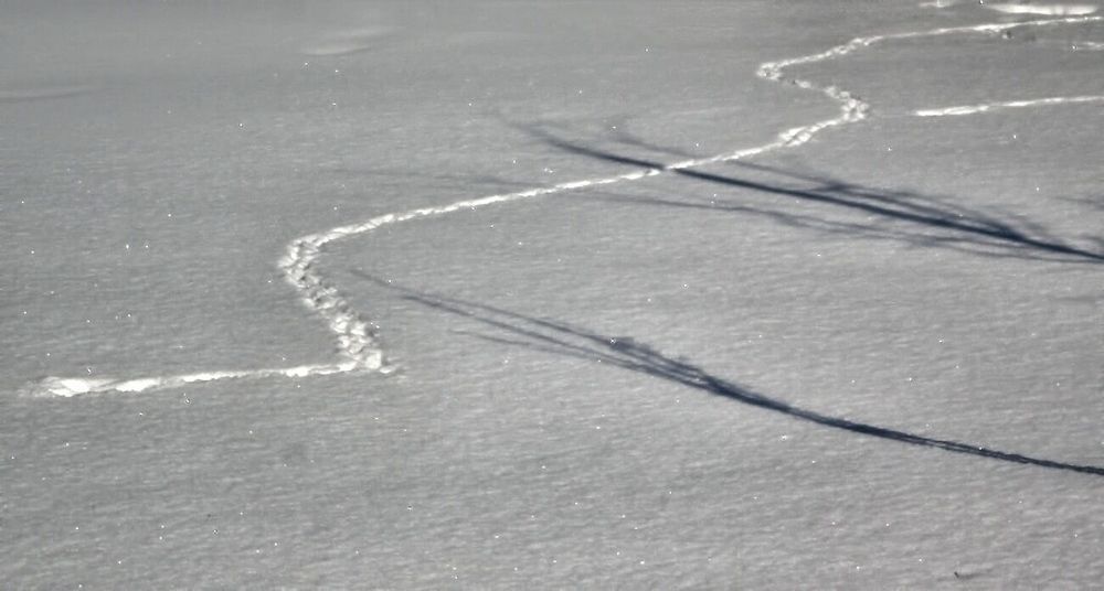 Photograph by Савоцкий Роман