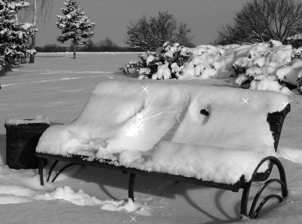 Фотография автора Роман Савоцкий