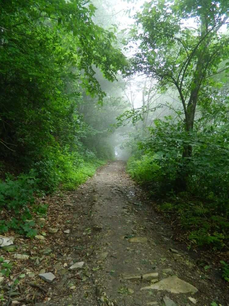 Фотография автора Бушенёв Михаил