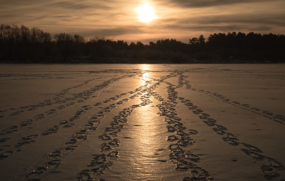 Photograph by Татьяна Романова