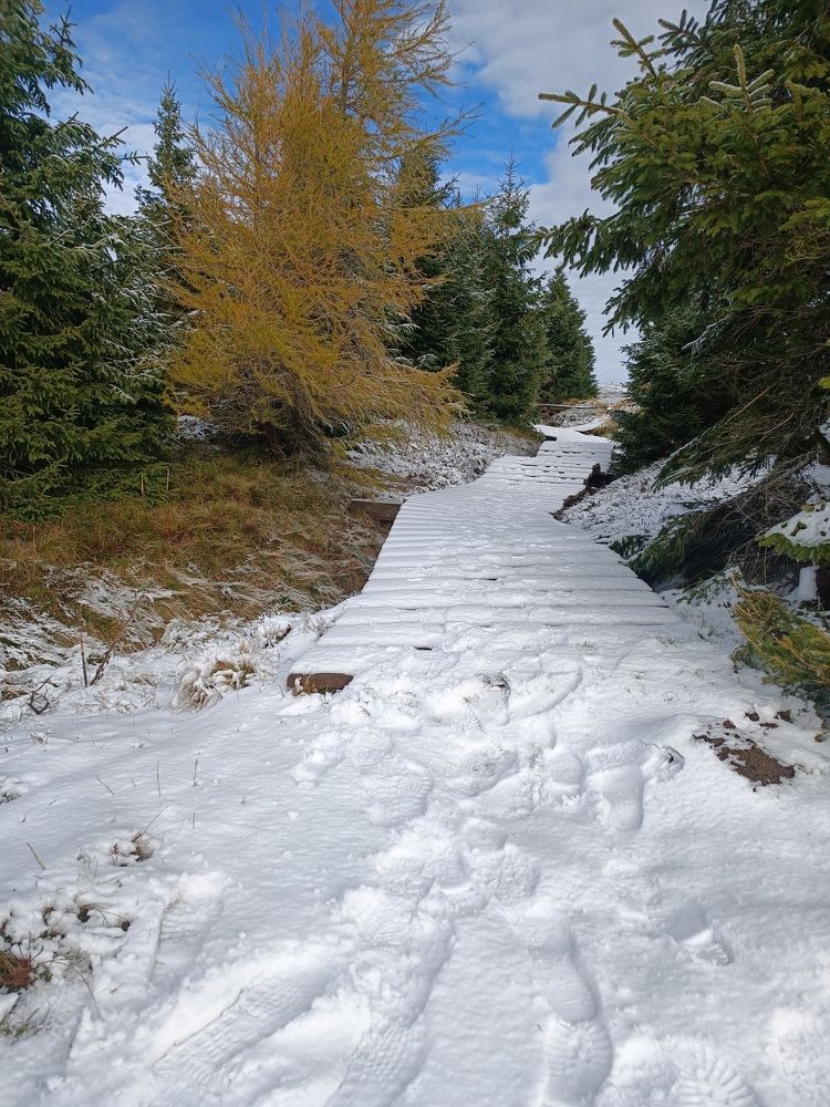 Photograph by Александра Шилова