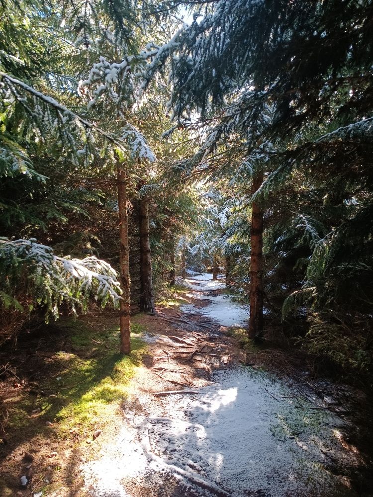 Photograph by Александра Шилова