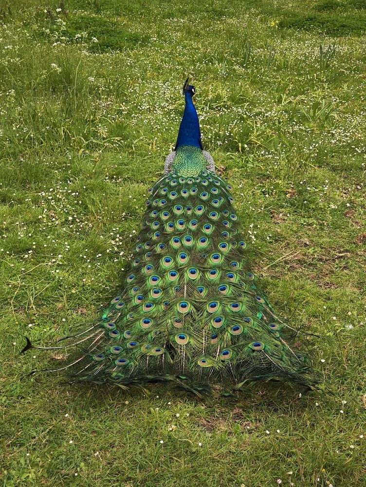 Photograph by Александра Шилова