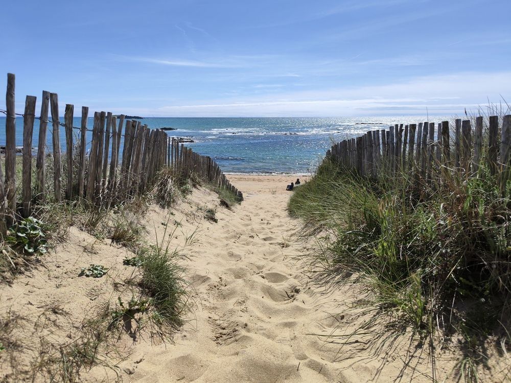 Photograph by Александра Шилова