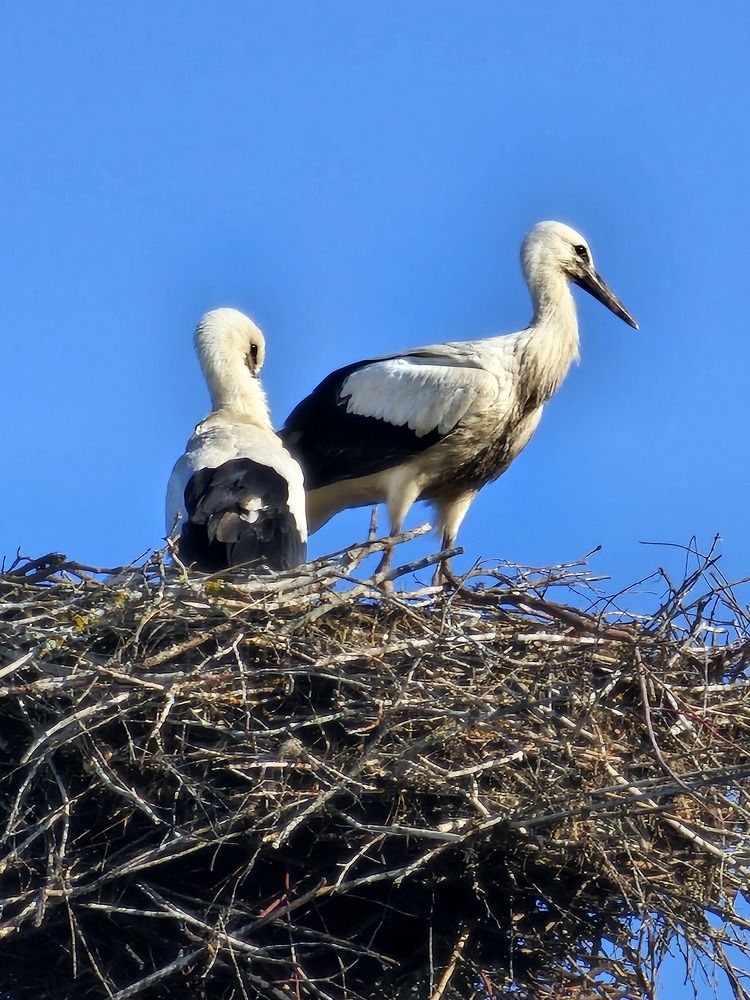 Photograph by Елена Ямнюк