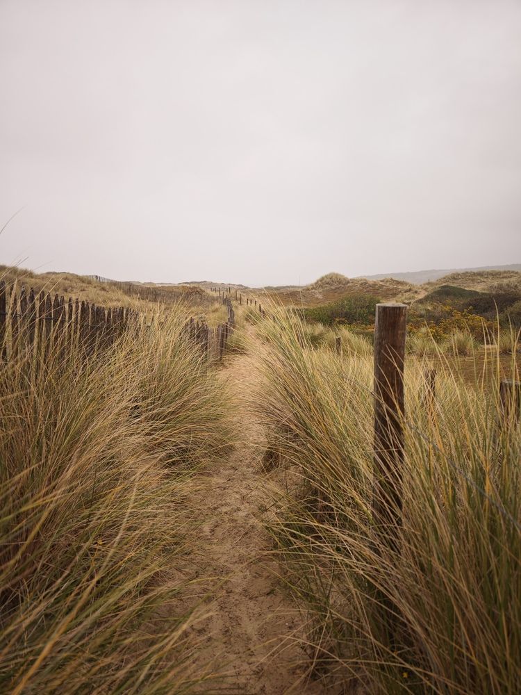 Photograph by Александра Шилова