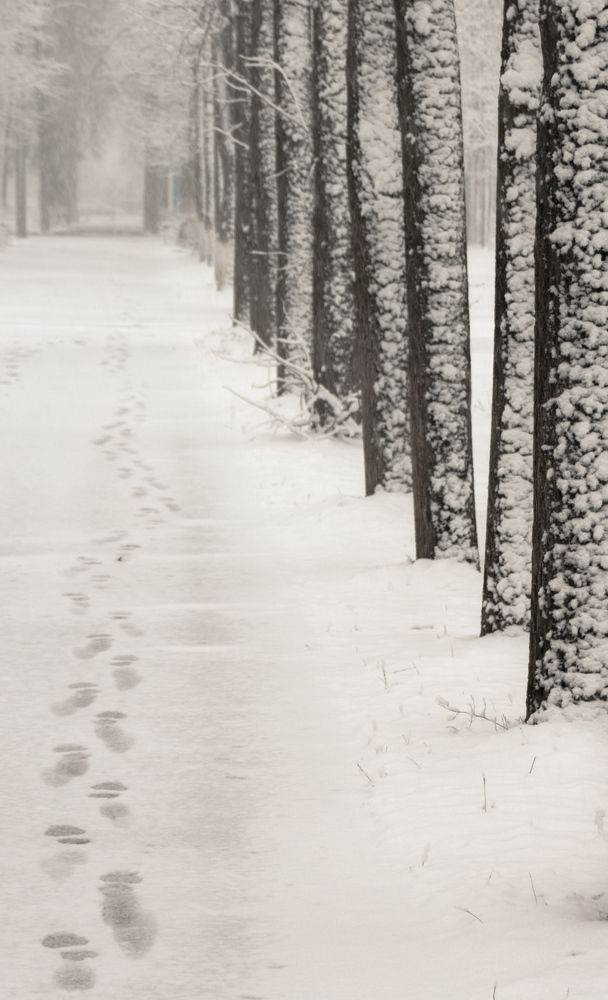 Photograph by Татьяна Романова