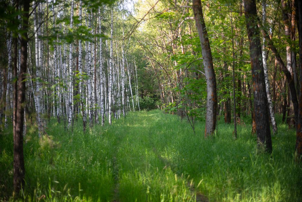 Фотография автора Бушенёв Михаил