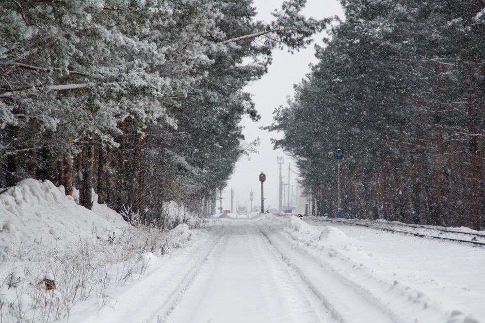 Фотография автора Бушенёв Михаил