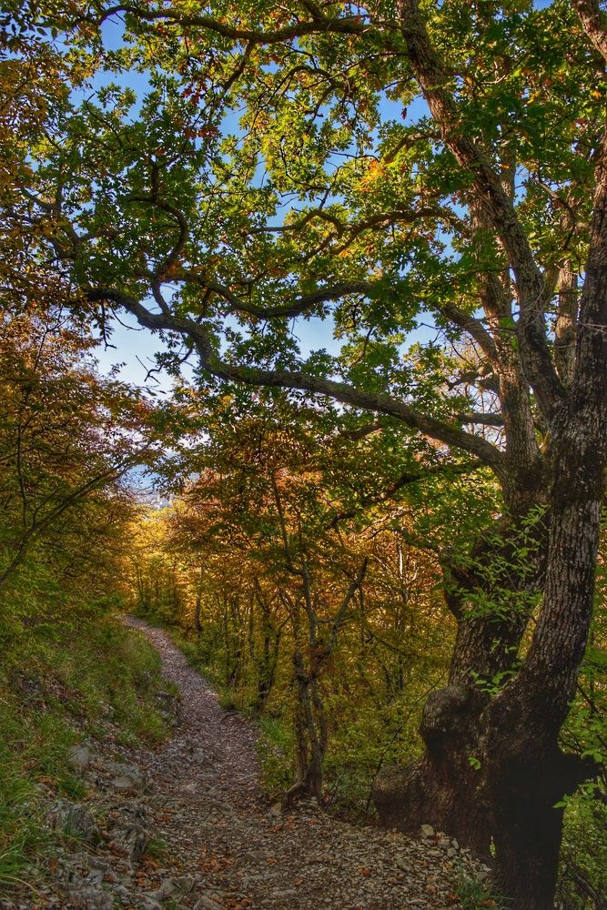Photograph by Василиса Прекрасная