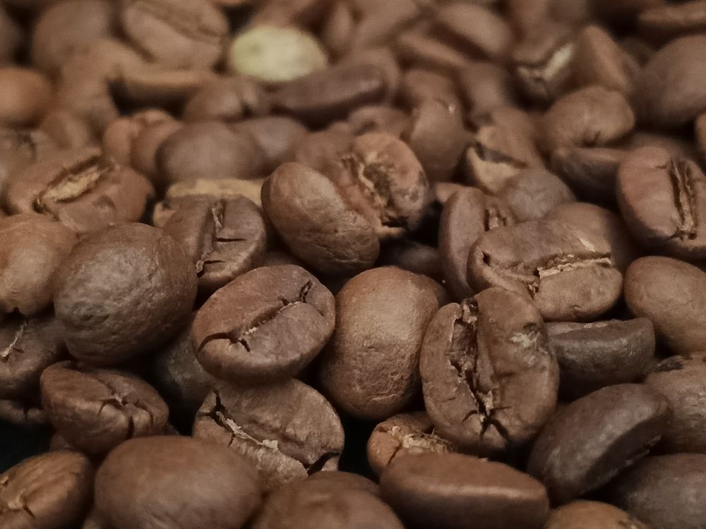 Coffee seeds.