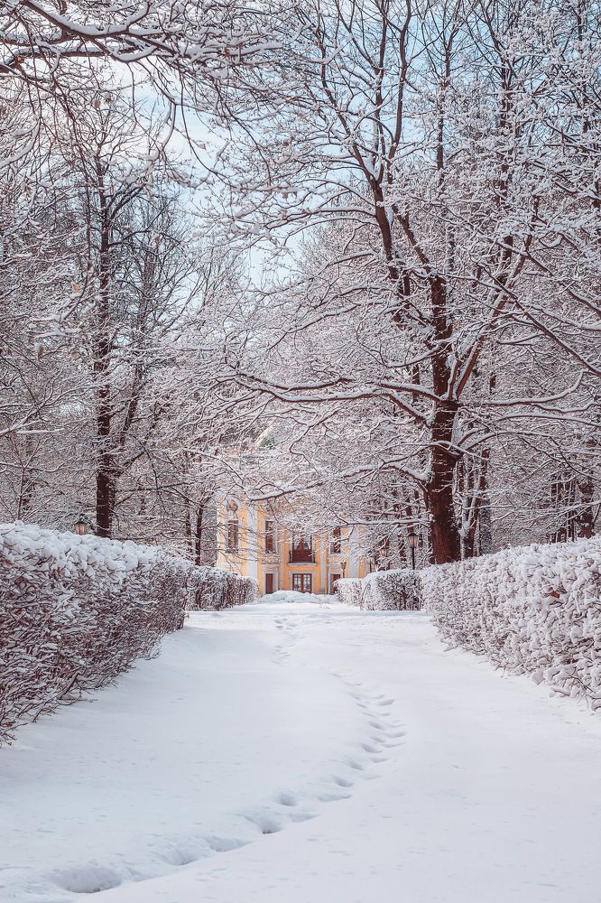 Фотография автора Анастасия Мазурева