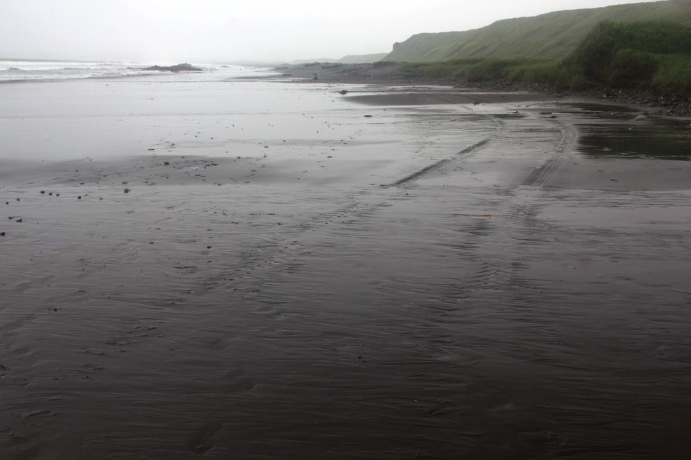 Photograph by Лада Денисова