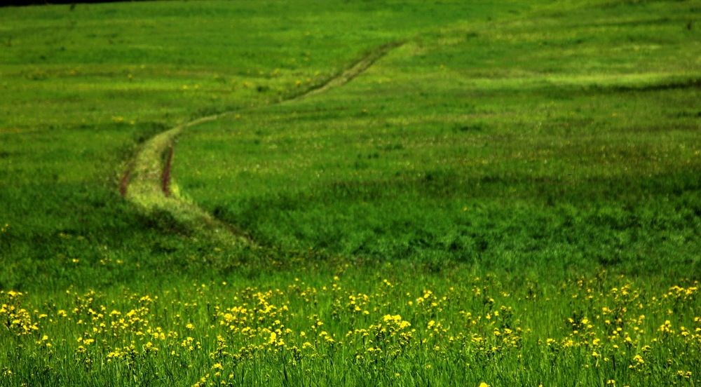 Photograph by Лада Денисова