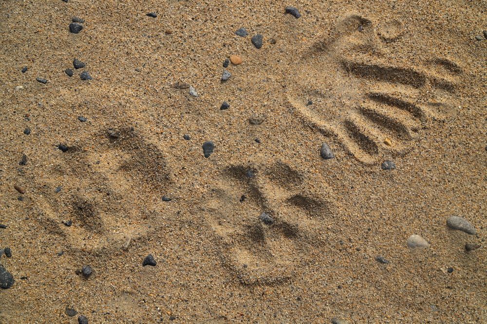 Photograph by Лада Денисова