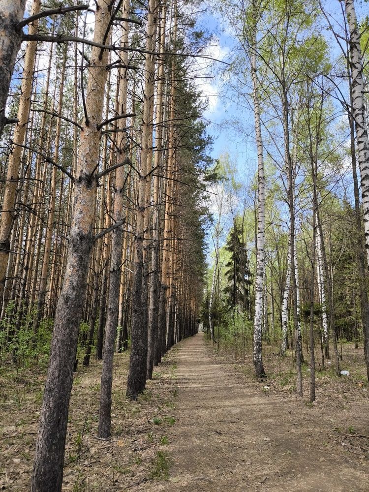 Photograph by Ирина Ященко