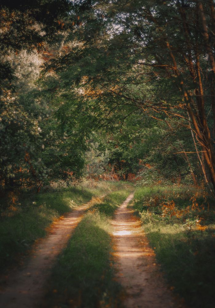 Photograph by Ольга Глущенко