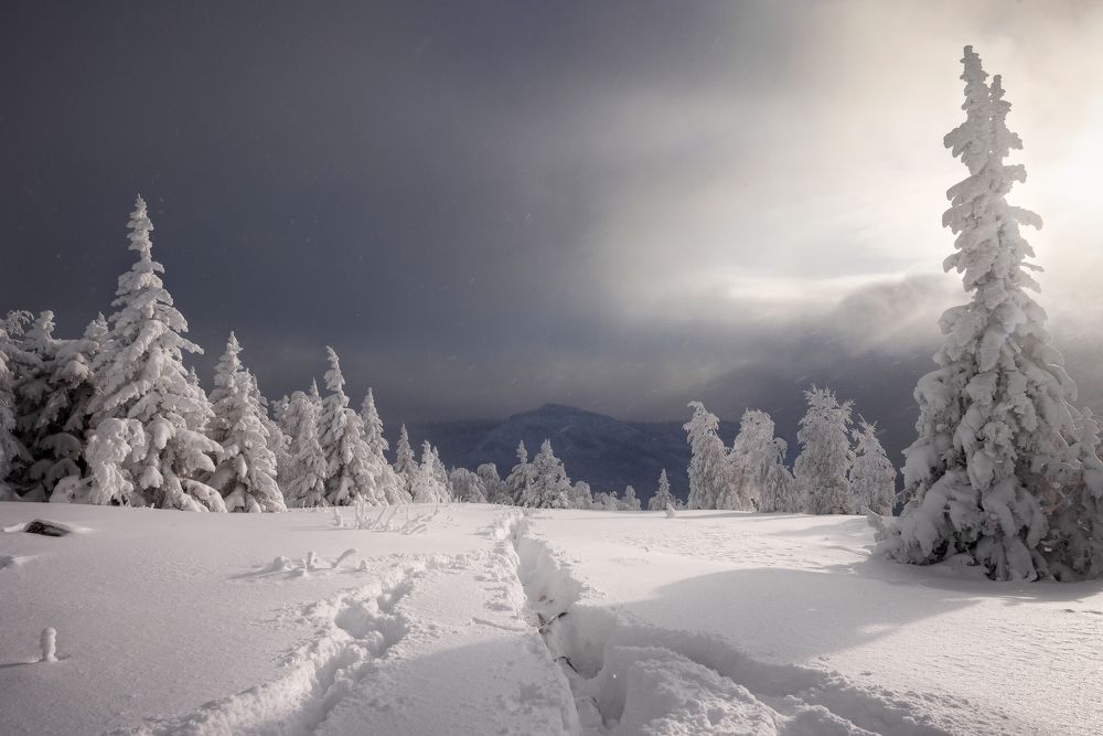 Photograph by Соколова Елена